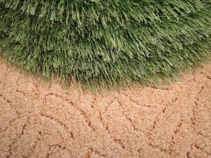 um�l� v�no�n� strome�ek, v�noce