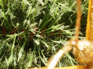 um�l� v�no�n� stromek, v�noce