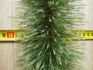 Um�l� borovicov� chvoj�, v�noce