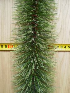 Um�l� borovicov� chvoj�, v�noce