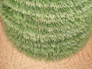 v�no�n� strome�ek na v�noce