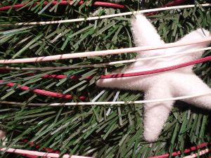 v�no�n� strome�ek na v�noce