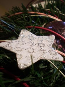 v�no�n� strome�ek na v�noce