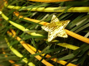 v�no�n� strome�ek na v�noce