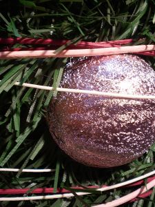 v�no�n� strome�ek na v�noce