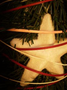 v�no�n� strome�ek na v�noce