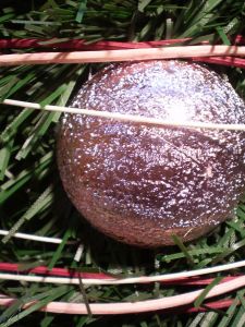 v�no�n� strome�ek na v�noce