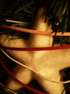 v�no�n� strome�ek na v�noce