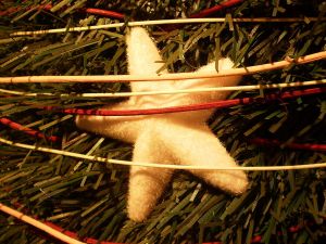 v�no�n� strome�ek na v�noce