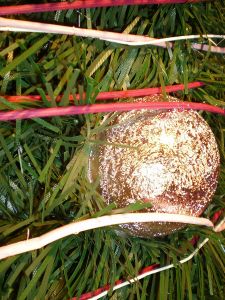 v�no�n� strome�ek na v�noce