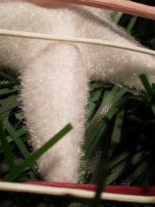 v�no�n� strome�ek na v�noce