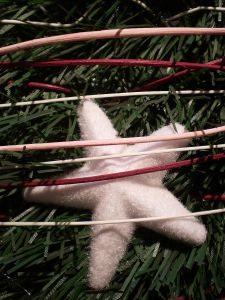 v�no�n� strome�ek na v�noce