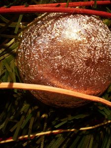 v�no�n� strome�ek na v�noce