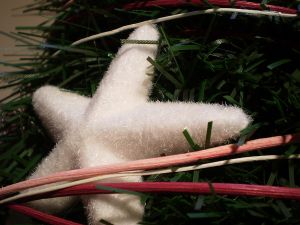 v�no�n� strome�ek na v�noce