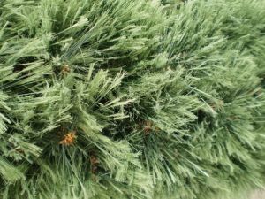 v�no�n� strome�ek na v�noce