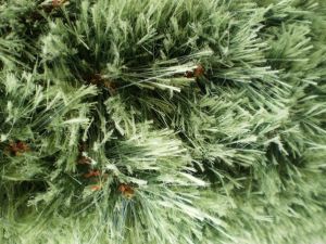 v�no�n� strome�ek na v�noce